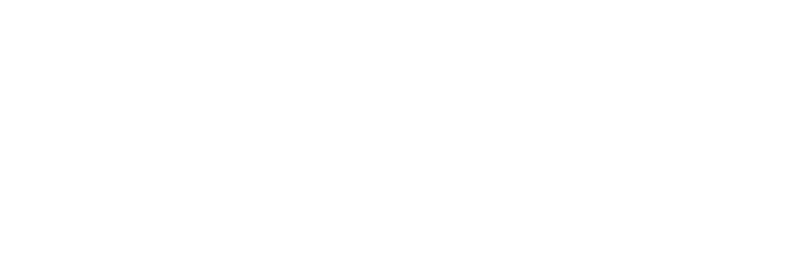 Aznash and Partners